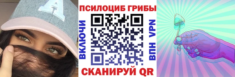 купить наркотики сайты Железногорск Псилоцибиновые грибы Cubensis