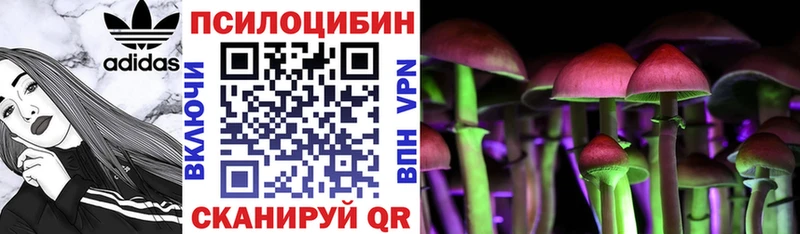 Галлюциногенные грибы Psilocybe Железногорск